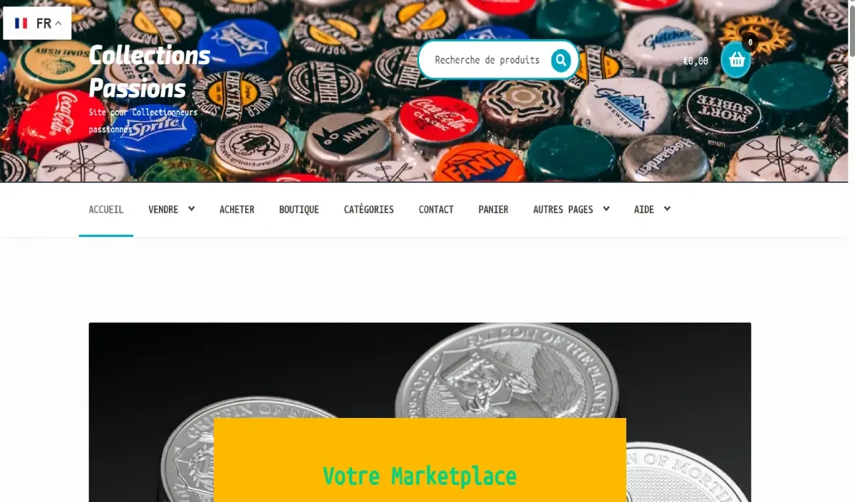 Aperçu du site Collections Passions